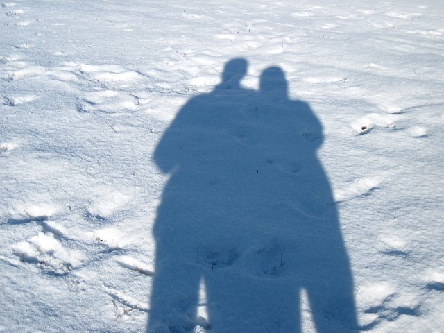 Original image